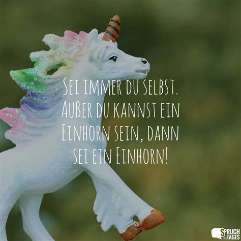 spruch einhorn|einhorn süße sprüche.